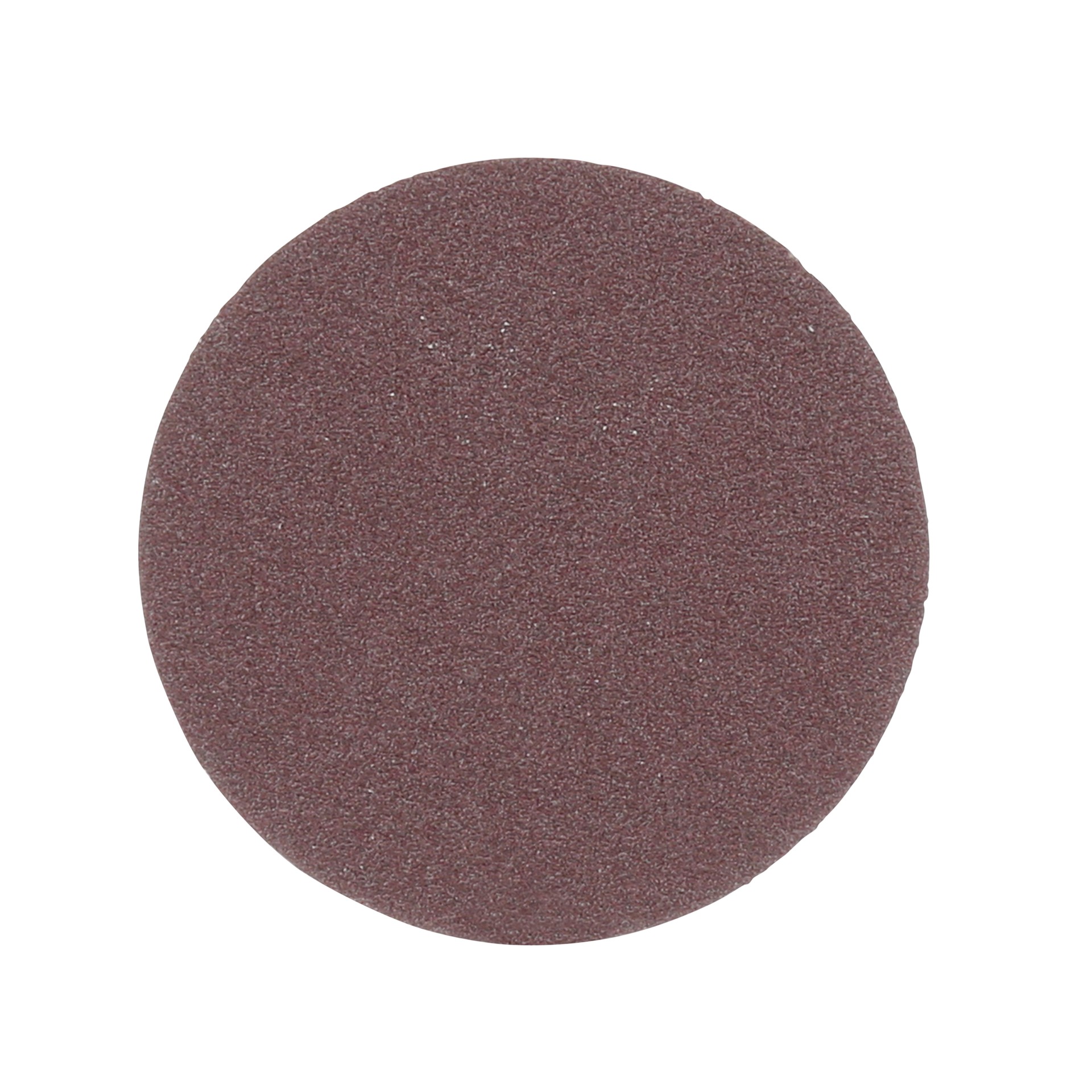 Disque en toile autoadhésif 3M(MC), 348D, grain 50, 25,4 mm x ST (1 po x ST)