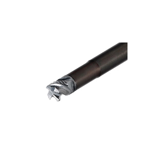 ISCA-3103409