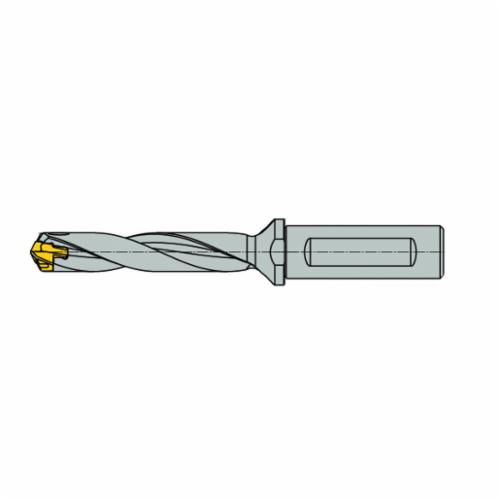 ISCA-3202488