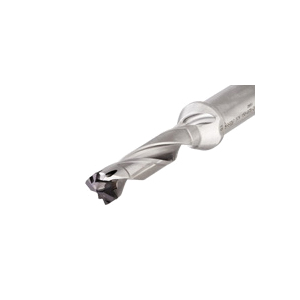 ISCA-3202644