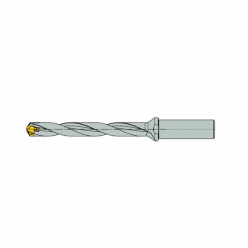 ISCA-3202734