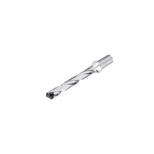 ISCA-3203219