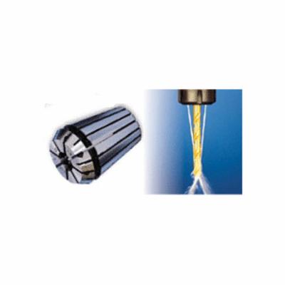 ISCA-4500339