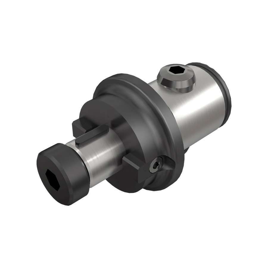 ISCA-IS4550213