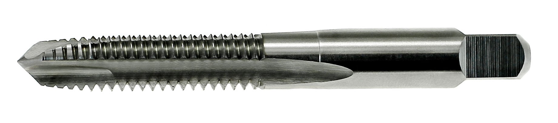 WAL2-1E164SP