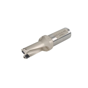 ISCA-3201648