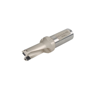 ISCA-3201462